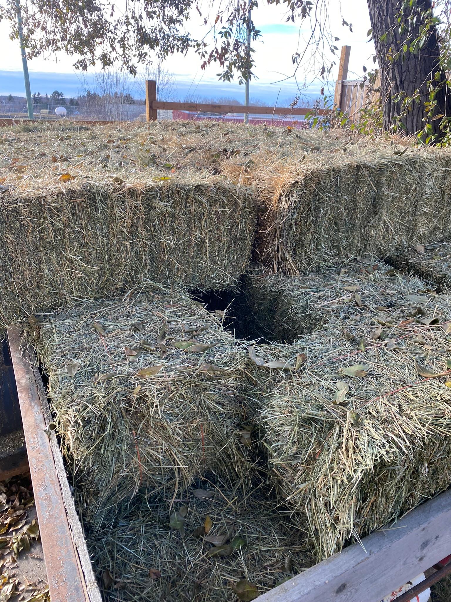 Photo of Square 2024 Hay Bales (Small Qty Pickup Available in Town of Barrhead)